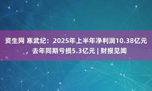 资生网 寒武纪：2025年上半年净利润10.38亿元，去年同期亏损5.3亿元 | 财报见闻
