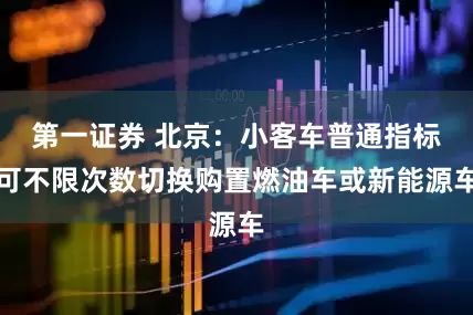 第一证券 北京：小客车普通指标可不限次数切换购置燃油车或新能源车